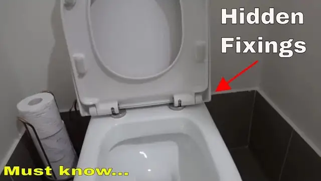 How To Remove Toilet Seat With No Screws