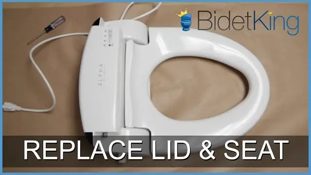 How To Remove A Bidet Toilet Seat