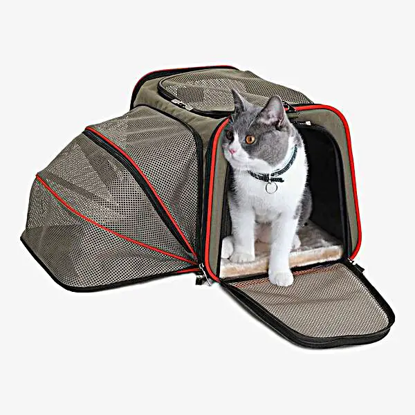 How Strict Are Airlines About Pet Carriers